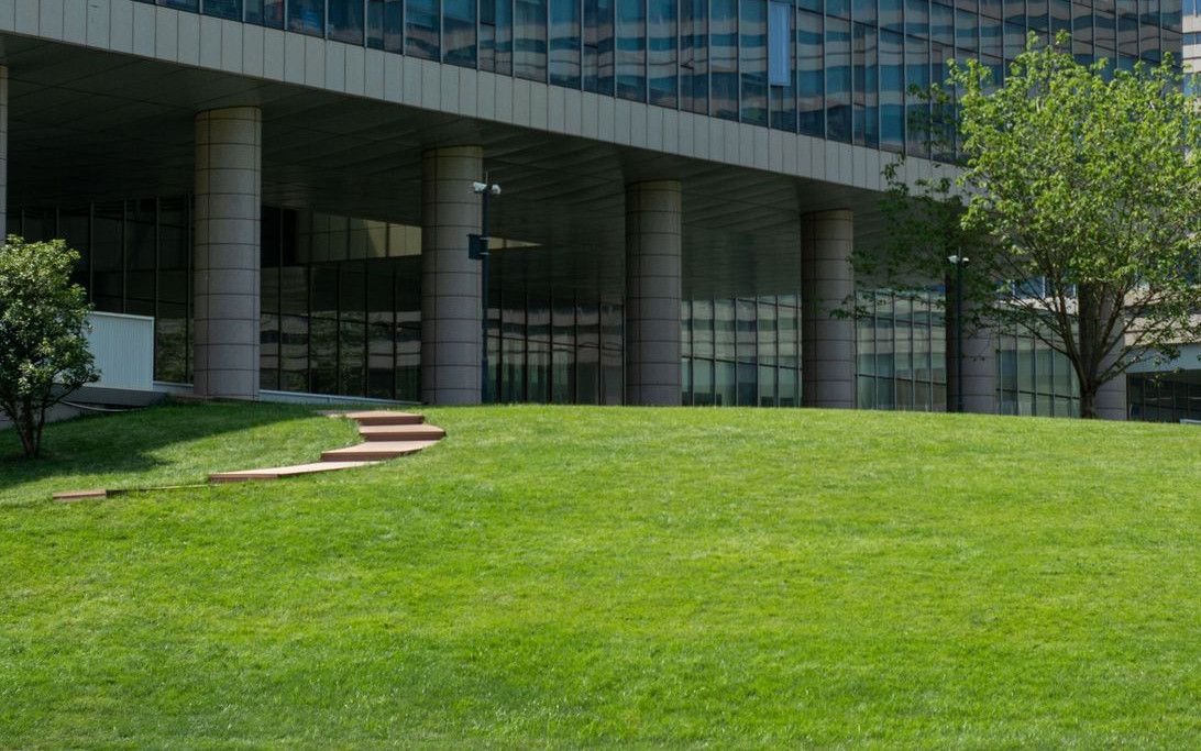 Contemporary glass office building surrounded by lush green grass in daylight.